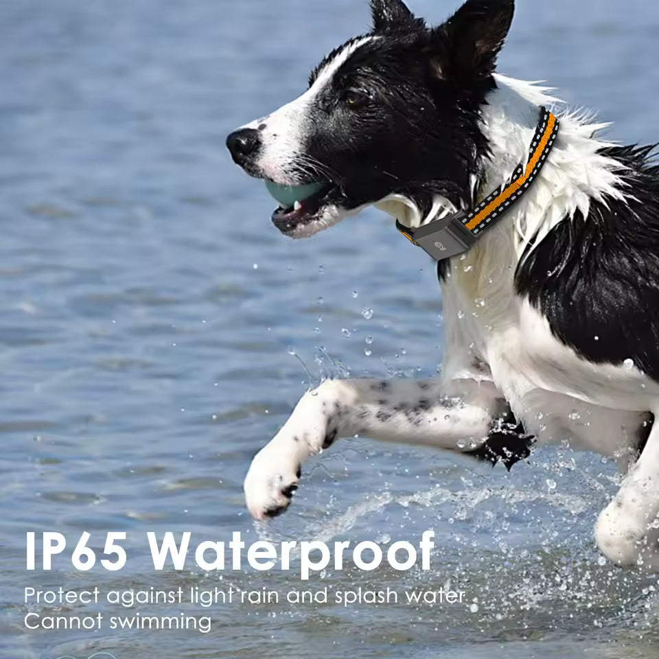 4G GPS Pet dog Tracker Collar