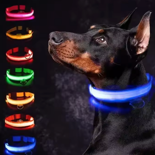LED Glowing Dog Collar Adjustable