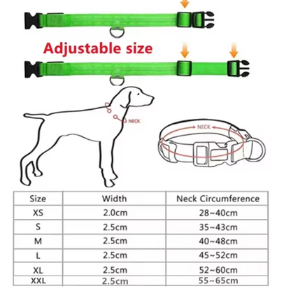 LED Glowing Dog Collar Adjustable