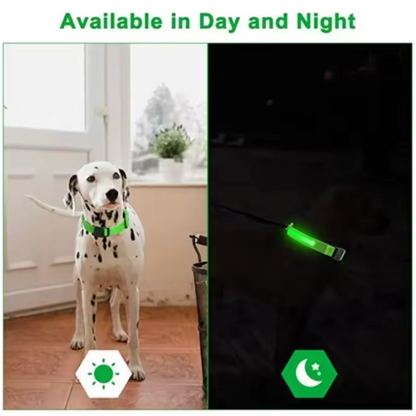 LED Glowing Dog Collar Adjustable