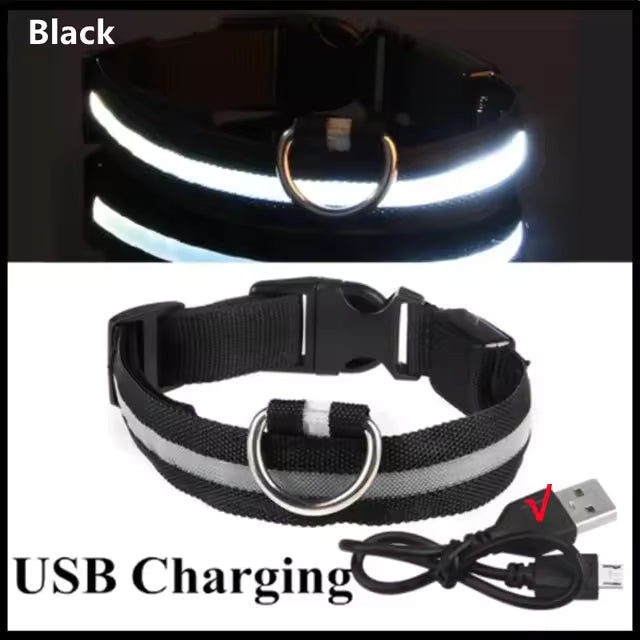 LED Glowing Dog Collar Adjustable