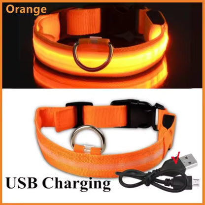 LED Glowing Dog Collar Adjustable