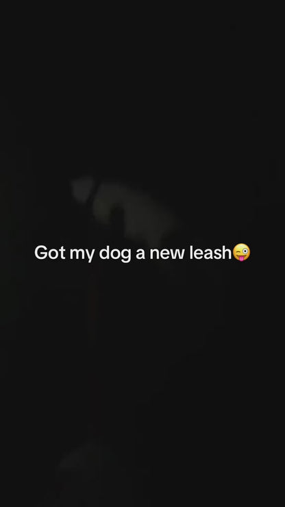 5M Automatic Retractable Dog Leash with Led Flashlight